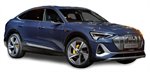 Двигатели Audi E-tron Sportback
